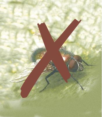 BIOCONTROL rovarvédő háló 2,2x10m fehér 4.Kép