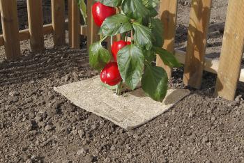 FLAXHEMP természetes talajtakaró 500g 49cm x3m natúr lebomló 2.Kép