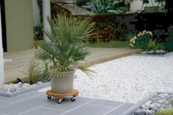 https://www.prenkernagyker.hu/media_ws/10002/2066/idx/intermas-flora-roll-lasure-lakkozott-kemenyfa-viragalatet-0-4-m-1.jpg