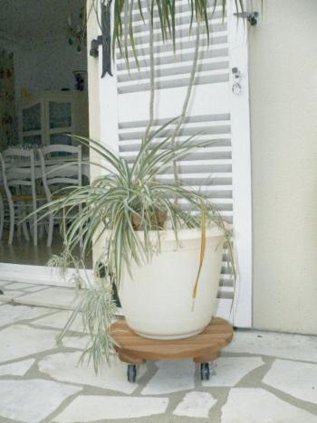 FLORA ROLL LASURÉ keményfa virágalátét 40cm 3.Kép