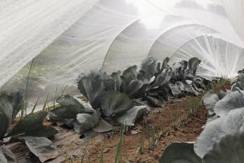 PROTEC rovarvédő háló 4*6m fehér 2.Kép