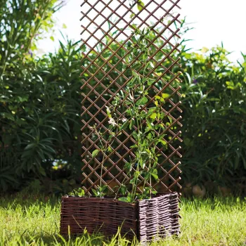https://www.prenkernagyker.hu/media_ws/10010/2034/idx/willow-trellis-fuz-apacaracs.webp