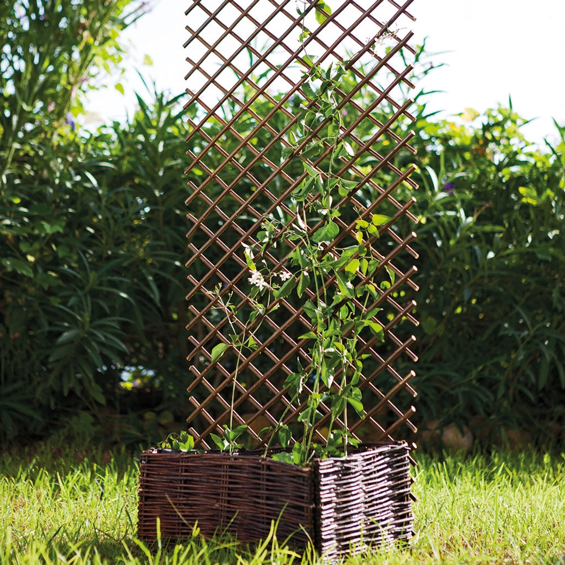 Willow Trellis térelválasztó, 50 cm x 1,5 méter