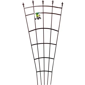 https://www.prenkernagyker.hu/media_ws/10010/2038/idx/royal-trellis-fem-novenyfuttato.webp