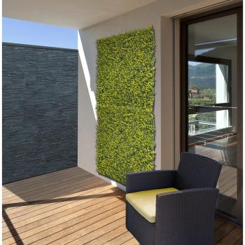 VERTICAL BUXUS zöldfal buxus levelekkel 3.Kép