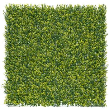 https://www.prenkernagyker.hu/media_ws/10010/2043/idx/vertical-buxus-zoldfal-buxus-levelekkel.jpg