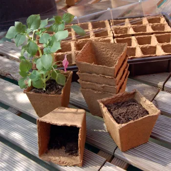 https://www.prenkernagyker.hu/media_ws/10010/2068/idx/growing-pots-tozegcserep.webp