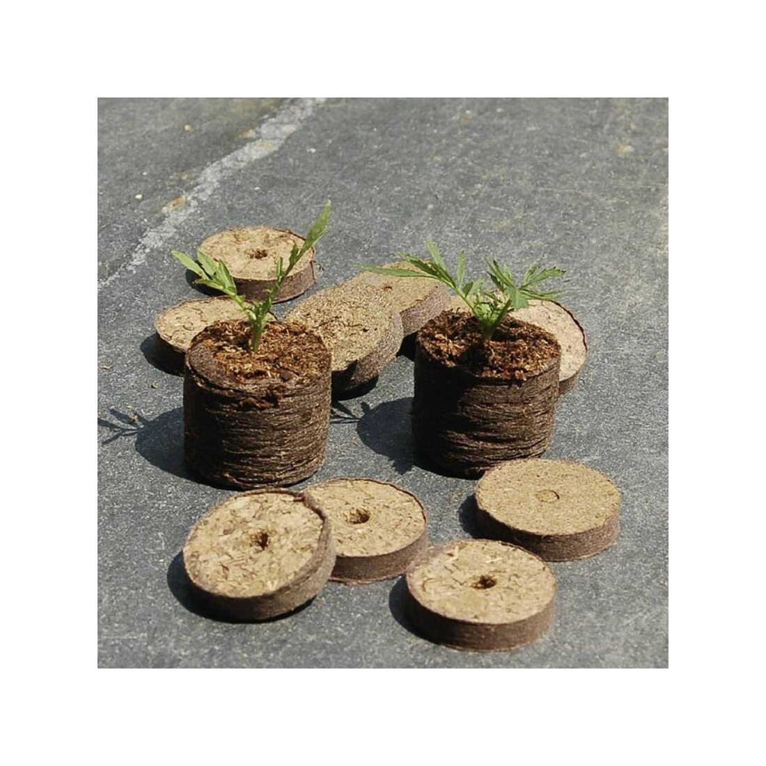 TURBA dehidratált tőzegtabletta 25db korong x ø 4 cm