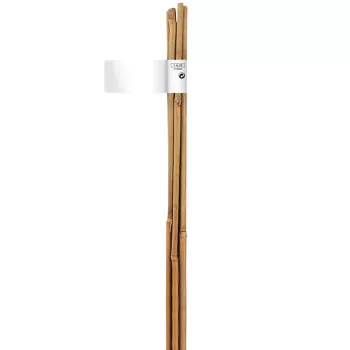 https://www.prenkernagyker.hu/media_ws/10011/2034/idx/bamboo-bambusz-termeszto-karo-0-9m.webp