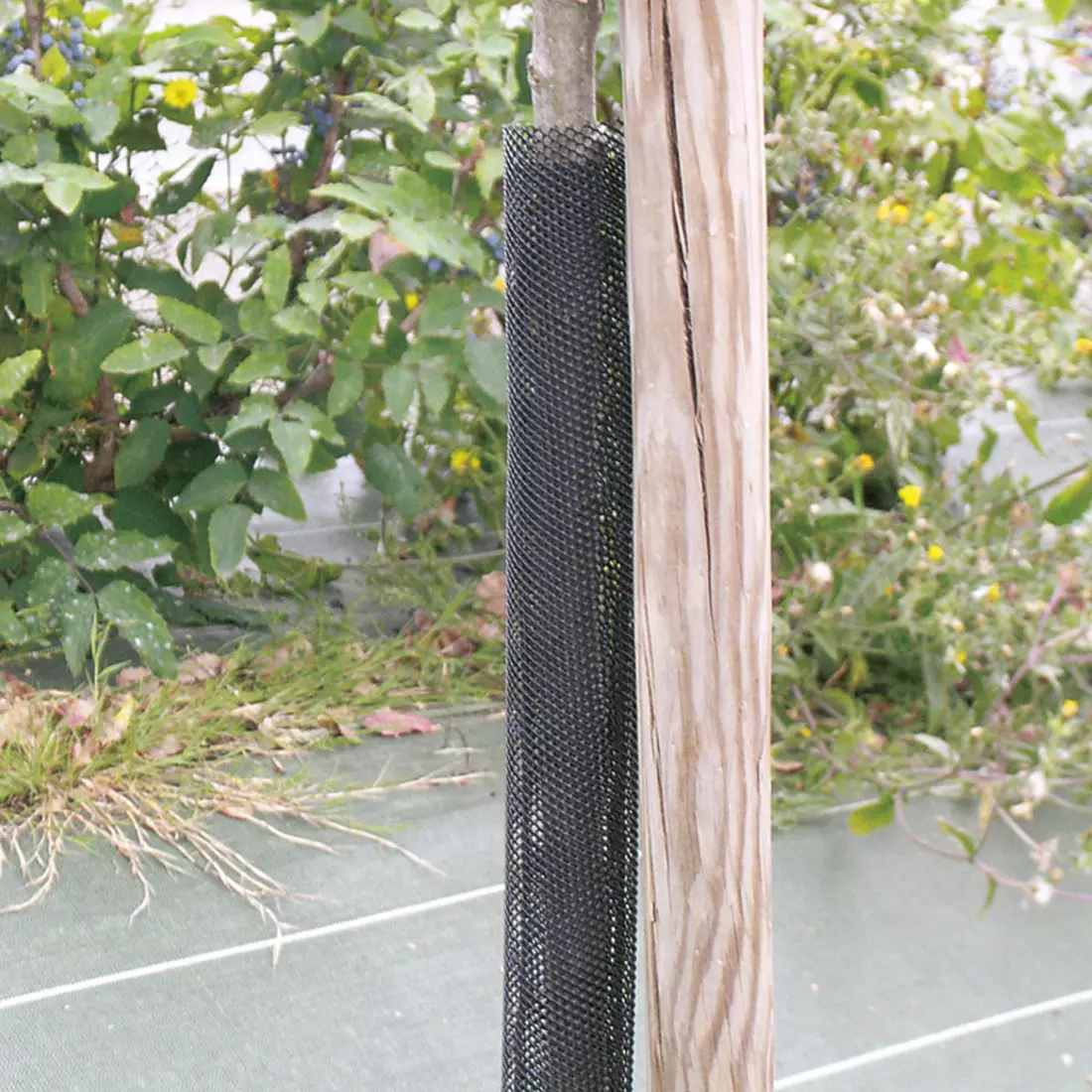 TREEX (Flexguard) 6 x 110 facsemetevédő rács 8db/csomag