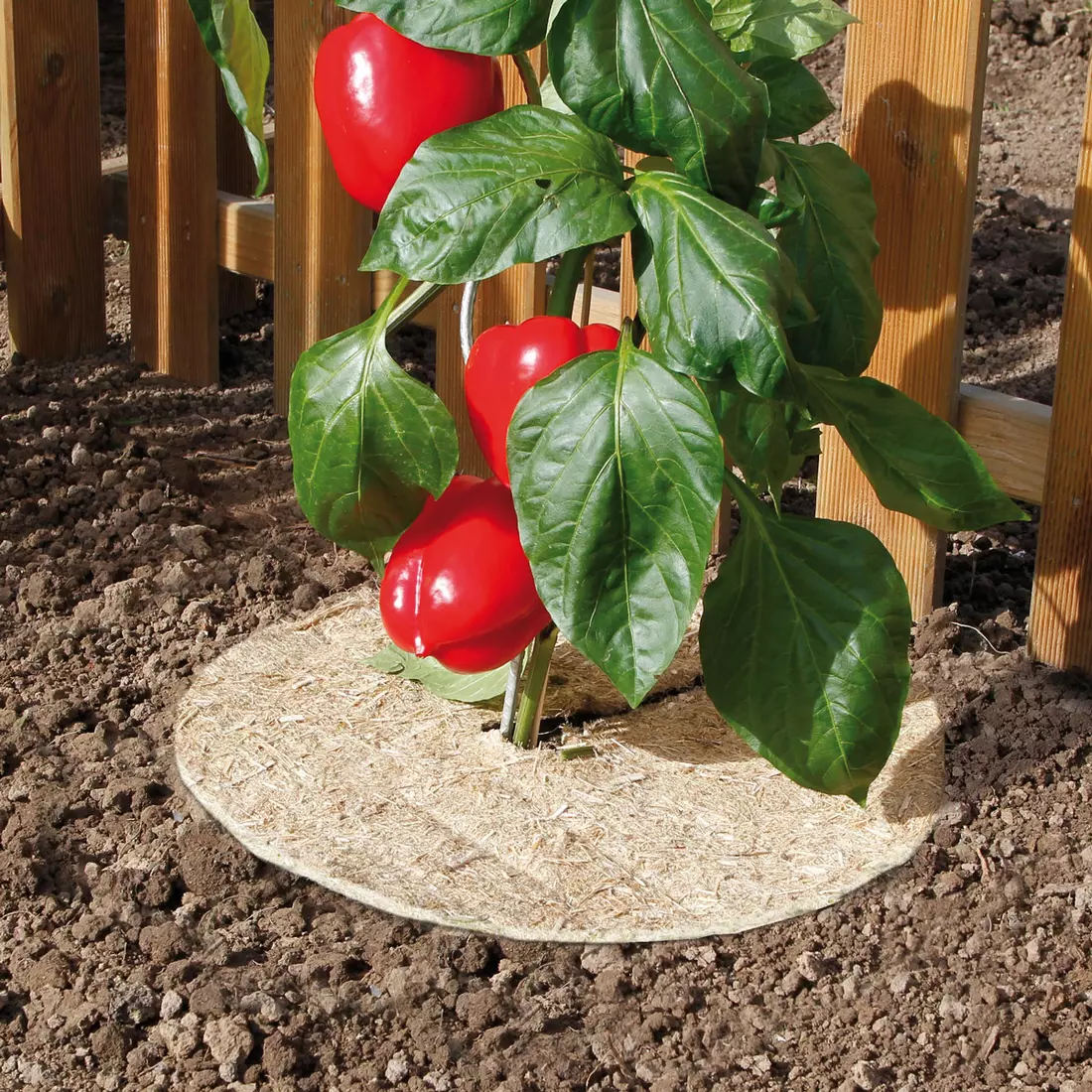 CHANVRELIN természetes talajtakaró korong átm: 30cm 3db/cs