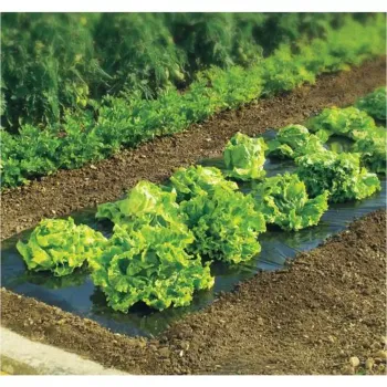 https://www.prenkernagyker.hu/media_ws/10012/2086/idx/terrafilm-univerzalis-talajtakaro-folia-1-4x10m-fekete.webp
