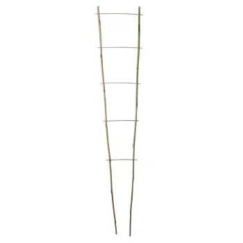 https://www.prenkernagyker.hu/media_ws/10013/2006/idx/echelle-bamboo-bambusz-novenyletra.webp