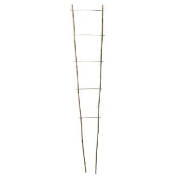 https://www.prenkernagyker.hu/media_ws/10013/2007/idx/echelle-bamboo-bambusz-novenyletra-90-25cm.jpg