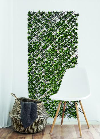 https://www.prenkernagyker.hu/media_ws/10014/2042/idx/trellibambu-buxus-bambusz-apacaracs-diszlevelekkel.jpg