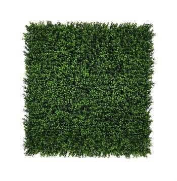 VERTICAL BUXUS zöldfal buxus levelekkel 2.Kép
