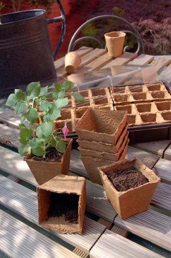 https://www.prenkernagyker.hu/media_ws/10014/2061/idx/growing-pots-tozegcserep-2.jpg