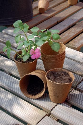 https://www.prenkernagyker.hu/media_ws/10014/2062/idx/growing-pots-tozegcserep.jpg